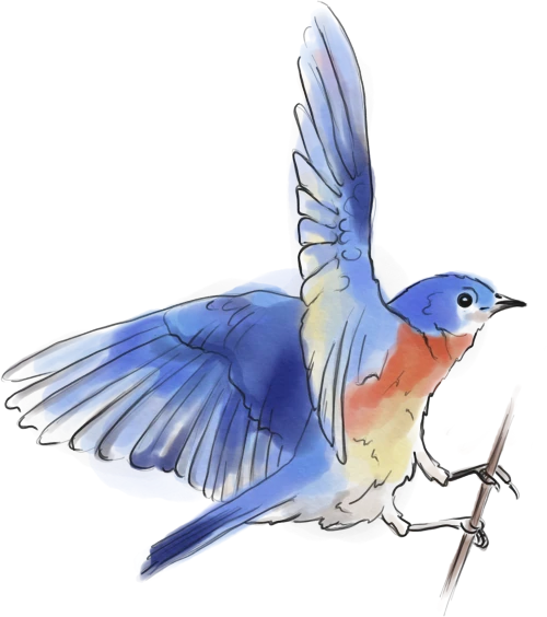 Un oiseau
